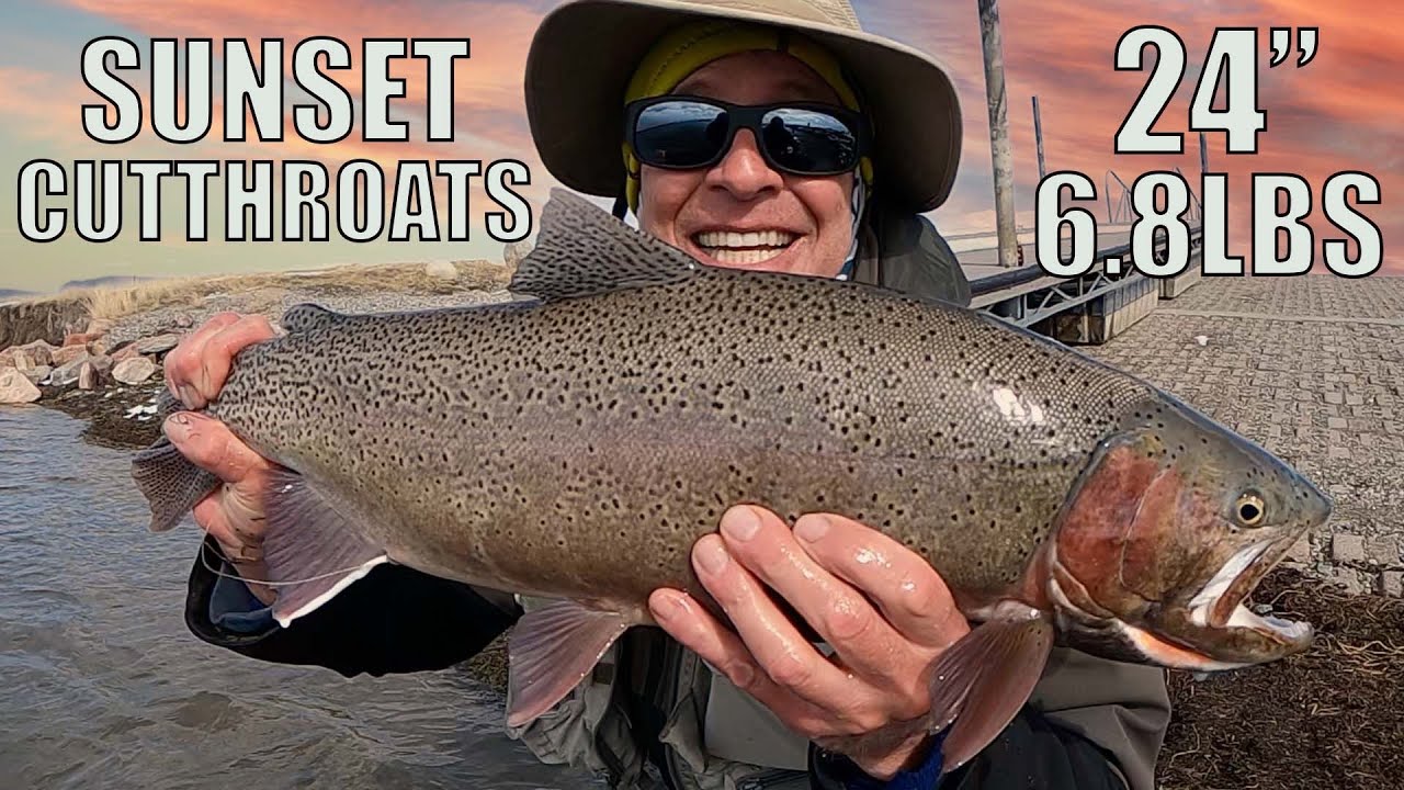 Лёд на водохранилище Антеро, рыбалка нахлыстом — БОЛЬШИЕ ГОЛОВОРЕЗЫ КОЛОРАДО Vanlife Vancamping п...