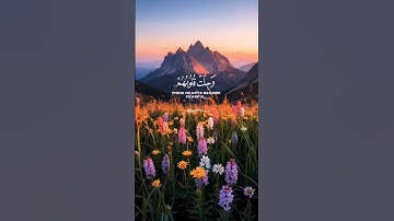 تلاوة عطرة للعملاق المنشاوي #اكسبلور #دويتو #تيك_توك #المصحف #لايك #راحة_نفسية