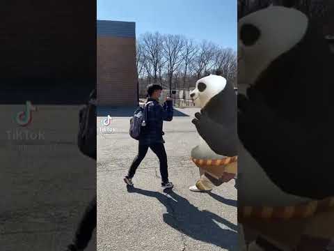 Kung-fu panda get griddy