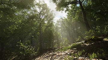 Trees Vol. 1 - Mixed Wind Demo - Unreal Engine 4.26 (4K)