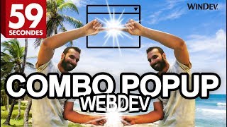 59S Pour Vous Présenter Le Champ Combo Popup De Webdev 24