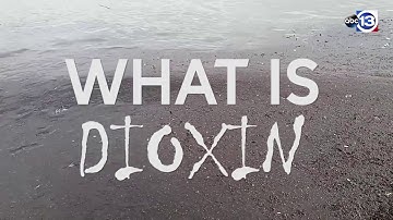 What is dioxin?