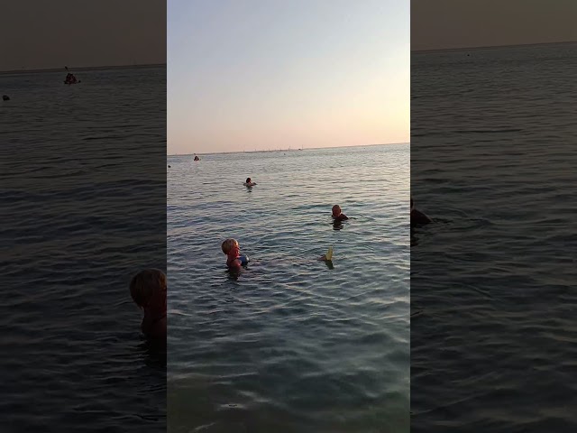 20 сентября 2026 г.