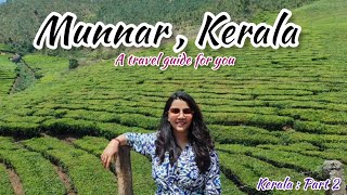 Munnar, kerala | February | places to travel | charges and other details | #kerala #munnar #travel