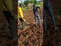 Young Boys Farming in an African Village
