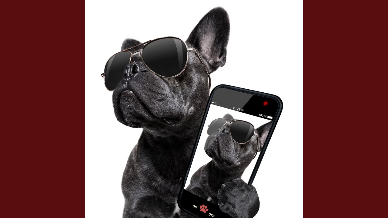 The Song We Never Sang