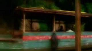 susumu yokota - the boy and the tree2.wmv