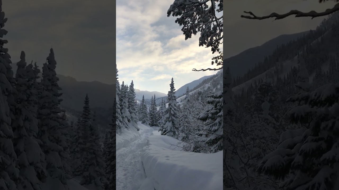 Wait for it! Beautiful snowy winter in the mountains! 