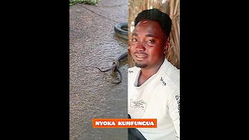 KUMBE NYOKA ATAGI YAHI ANATOA MTOTO WATU WAONGO Comedy Vichekesho Maloloso Mkonga Africar Trend 