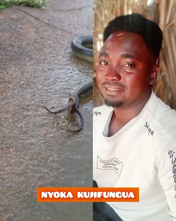 KUMBE NYOKA😱 ATAGI YAHI ANATOA MTOTO🤔 WATU WAONGO#comedy#vichekesho #maloloso#mkonga#africar#trend