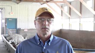 Pre-Weaned Lamb and Ewe Management