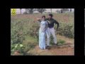 Chakravakam Telugu Movie Songs | Vellipo Vellipo Video Song | Shobhan Babu | Vanisri |