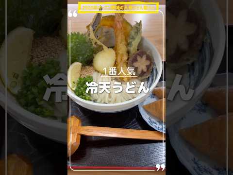 【宮崎の食】駐車場が空いてる時間がないんじゃ無いか？都城市で人気うどん屋さん