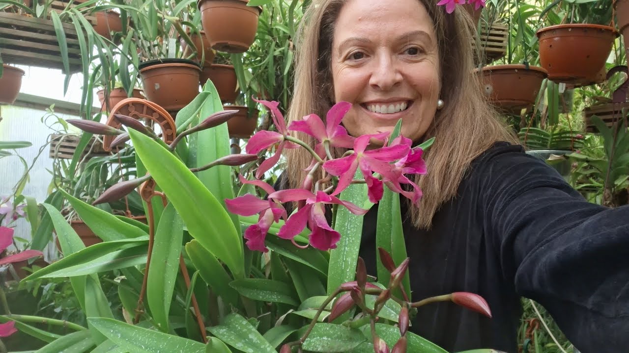 O rescaldo da Depressão Marta e as florações  de Fevereiro 