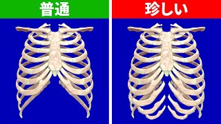 体のトリビア、ウソ？ホント？