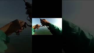 joran cangkek 1-3 lb melengkung tajam #shorts