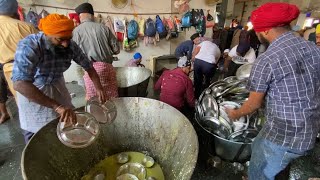 Amazing Dish Washing at Langar Golden Temple
