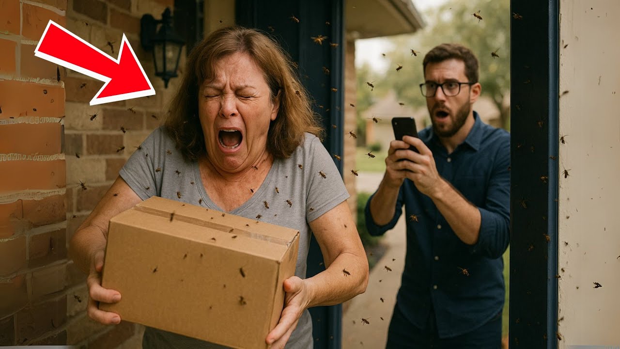 Karen Was Stealing My Packages, So I Packed One With Live Bees And Captured the Mayhem on Camera.
