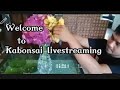 Jayros vlog is livehappy livestreamfridayupdate