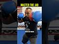 How To Master The Jab Like A Pro Boxer 