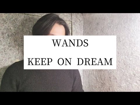 WANDS【KEEP ON DREAM】歌ってみた