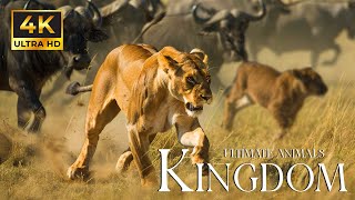 4K African Wildlife - 💝Family, Herd💝- Beautiful Scenery Relaxing Movie with Relaxing, Healing Music!