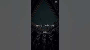 أكتب شيئاً تؤجر عليه ✨تلاوة من سورة السجدة ✨ للقارئ ❤️ إسلام صبحي ❤️