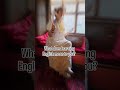 Learning English can be fun if we turn it into an experience #englishmastery