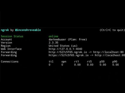 [2020] Ngrok reconnecting error solved !