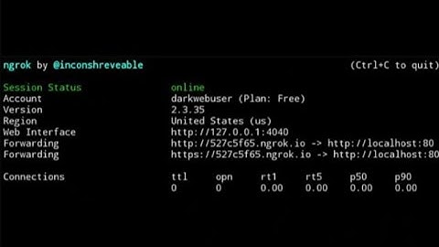[2020] Ngrok reconnecting error solved !