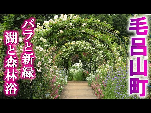 毛呂山町で煌めくバラ園と湖畔の森林浴を愉しむ旅/晴れれば絶景の展望台も/埼玉観光旅行vlog