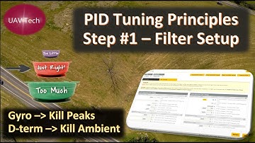 PID Tuning Principles: Step #1 - Filters Tuning