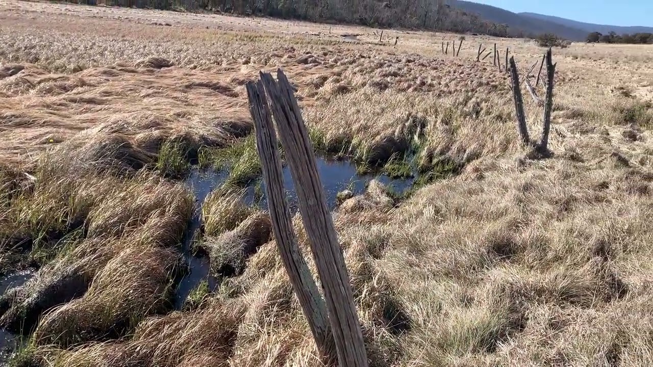 2023 09 17 Naas Creek fork fencing