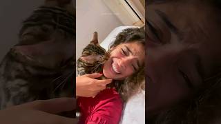 Funny cats  episode 199 #shorts