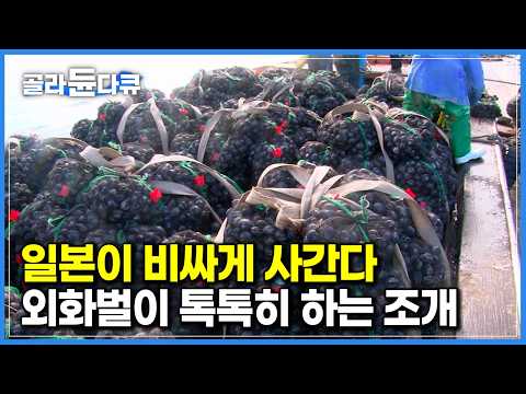 ‘일본이 비싸게 <strong>사간다</strong>’ 외화벌이 톡톡히 하는 조개｜양식이 자연산보다 비싸다는 특이한 해산물｜극한직업｜#골라듄다큐