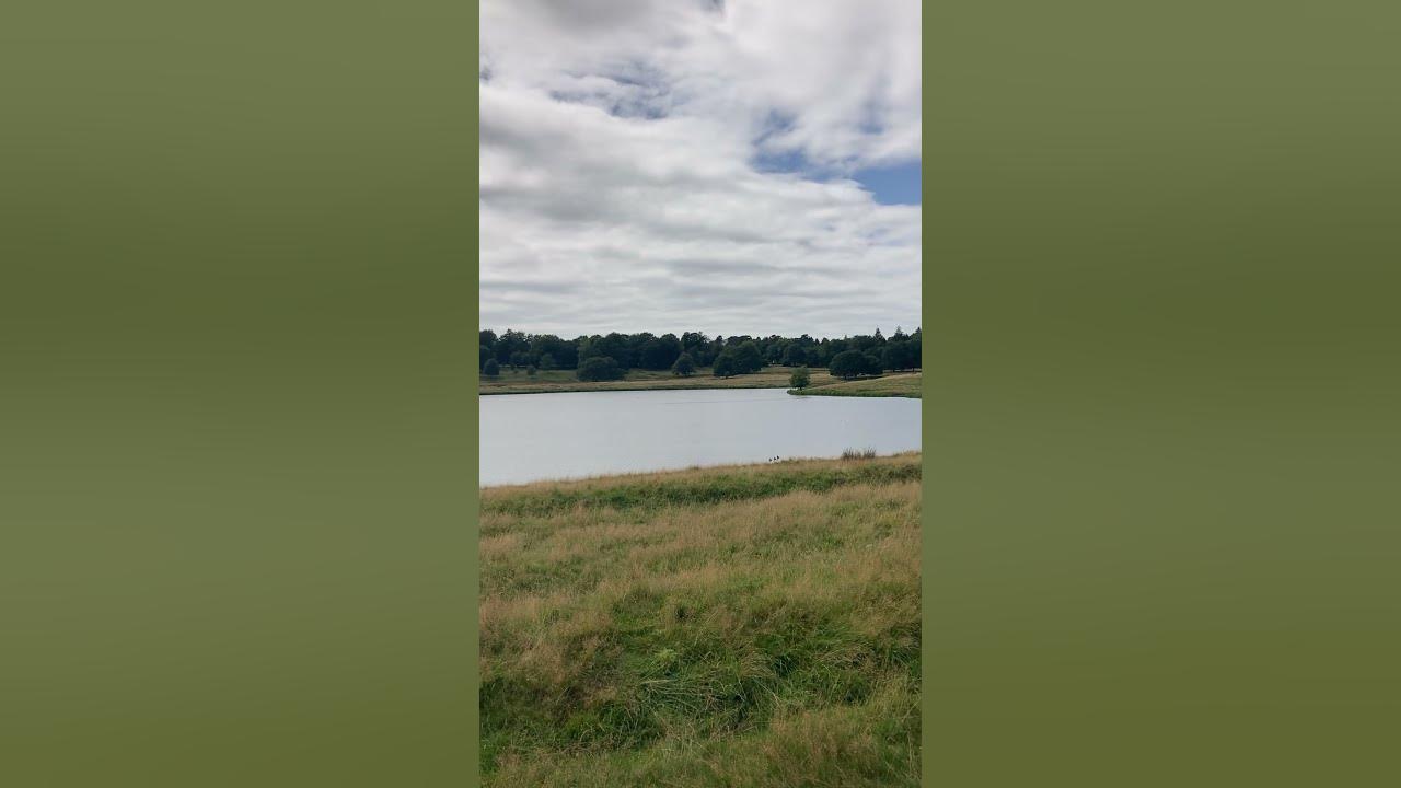 National Trust Tatton Park, United Kingdom 🇬🇧 YouTube