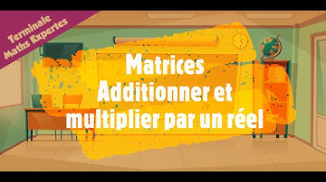 Matrices - Additionner et multiplier par un réel
