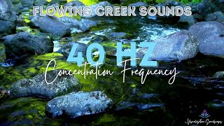 Natural Water Sounds for Relaxation and Studying + 40 HZ binaural beats