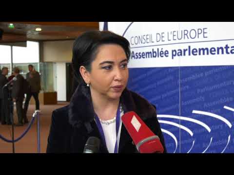 ეკა ბესელია - ევროსასამართლოს გადაწყვეტილებების აღსრულებაზე ზედამხედველობის ქვეკომიტეტის თავმჯდომარე