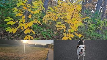 Chasing Trash on the Trails - Missouri Path Cleanup.