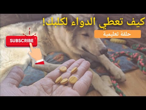 فيديو: كيف تعطي الدواء لكلبك