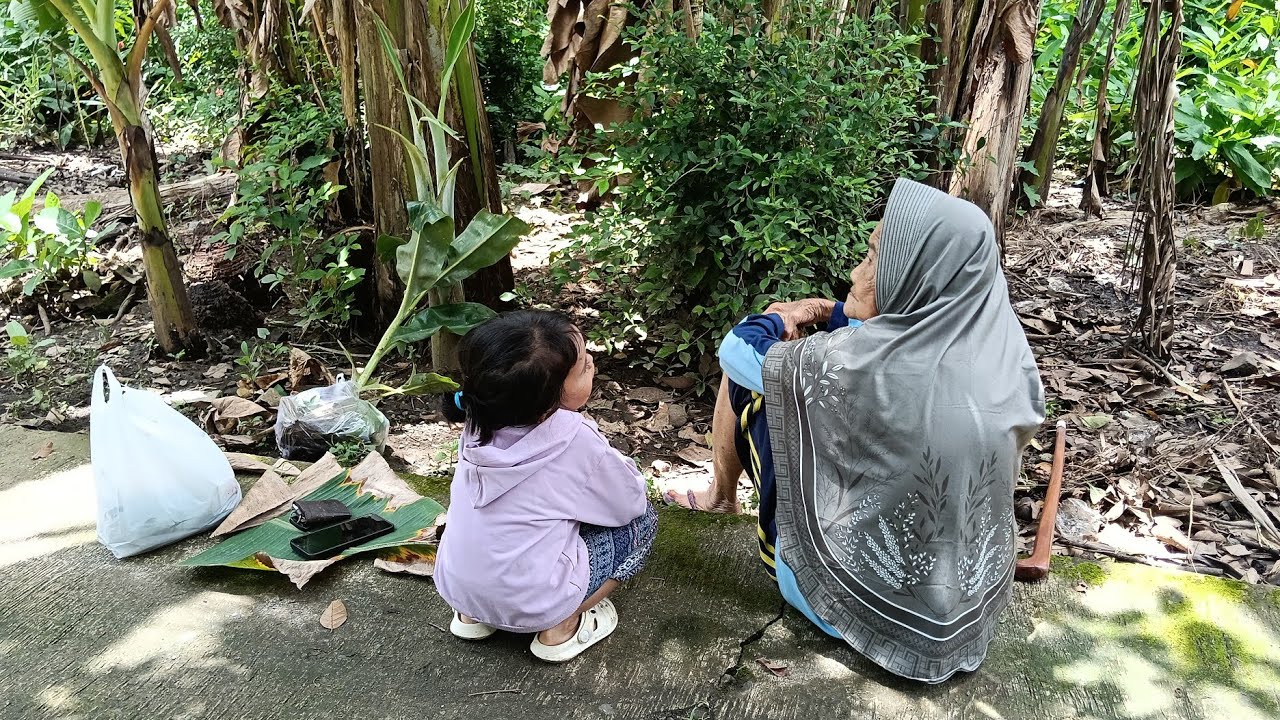Keliling Kulon Progo..main ke tegalan Simbah panen kelapa untuk masak, beli bolu untuk oleh-oleh..