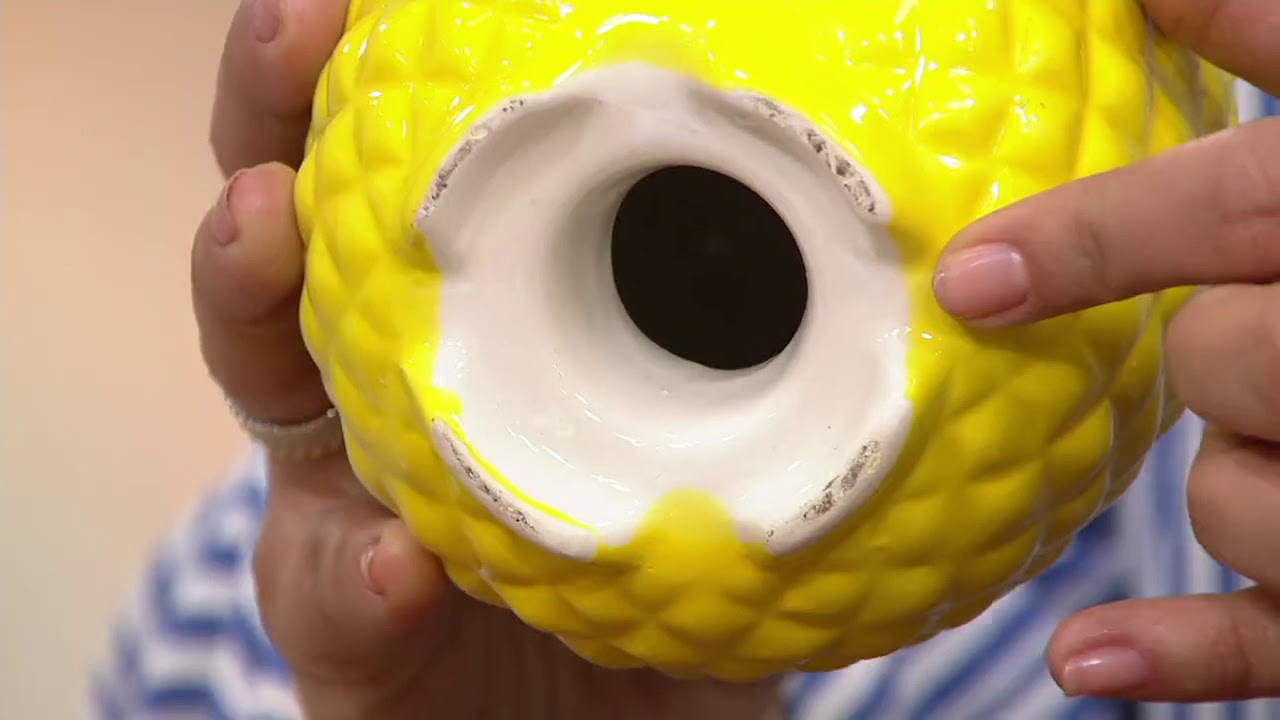 Plow & Hearth Refillable Ceramic Fruit Fly Trap on QVC YouTube