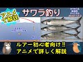 《アニメで解説：【サワラ】の釣果UPのコツ》【東京湾】での【キャスティング】【ジギング】での【ルアーサワラ】をアニメで詳しく解説。【初心者】向けになります。