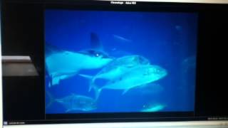 Remix Photo By Lexane