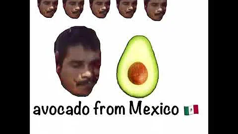 生きたメキシコ 