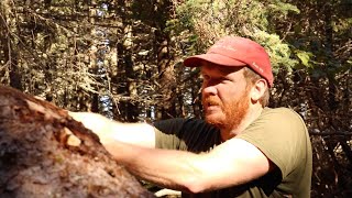 Chopping by the Coast - Head Harbor Island, Maine