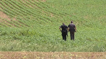 Manhunt underway for hit-and-run driver