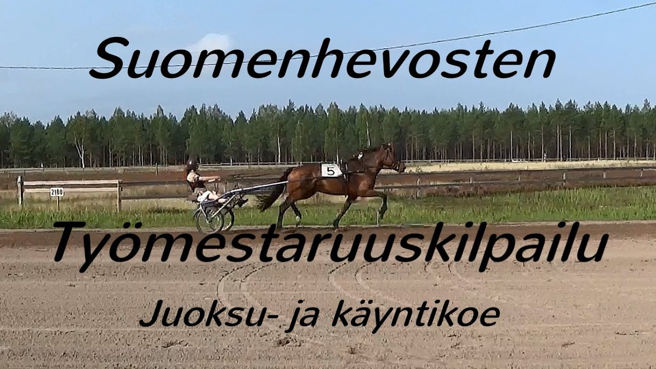 Suomenhevosten työmestaruuskilpailu 1.