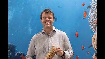 Nigel Topping High Level Champion for Climate Action at COP26 meets Relay4Nature